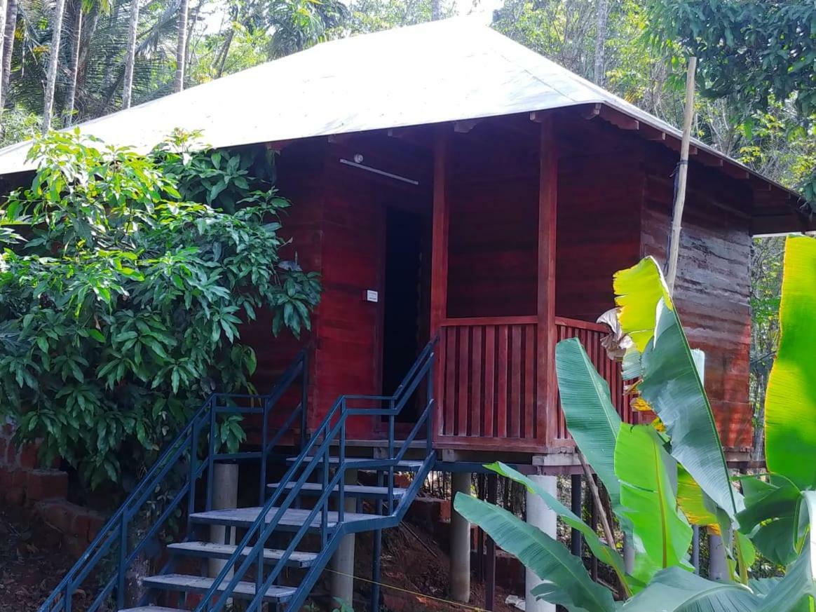 Misty Mornings Resort Ambalavayal Exterior foto